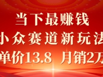 当下最挣钱的小众赛道 小红书新玩法10个作品涨粉3W，客单价13.8  月销2W单