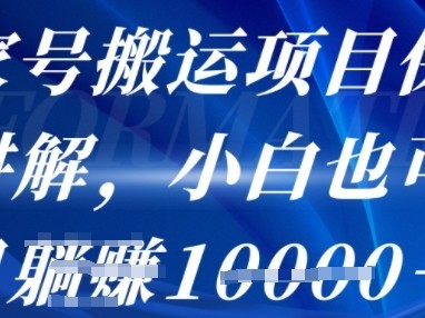 百家号搬运项目保姆级讲解，操作简单，小白也可以月入1w+