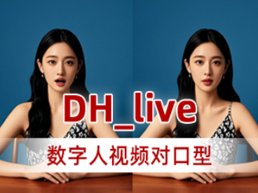 DH live数字人视频对口型