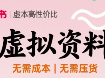 小红书虚拟资料，不需要成本压货，单价9.9