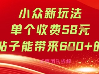 小众新玩法单个收费58米每篇帖子能带来6张+的收益