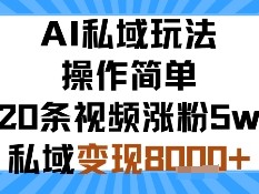 AI私域玩法，操作简单，20条视频涨粉5w，私域变现8k