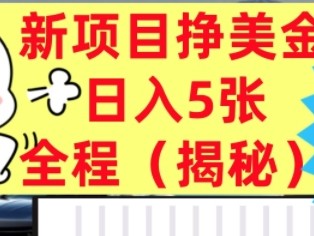 最新挣美金项目，日入5张，全程揭秘，小白也能轻松入手，长久被动收入