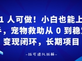 1人可做！小白也能上手，宠物救助从 0 到稳定变现闭环，长期项目