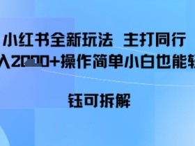 小红书同行项目，单日收益多张小白可轻松上手