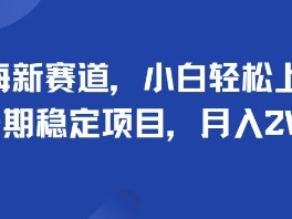 蓝海新赛道，小白轻松上手，长期稳定项目，月入2W