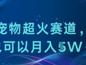 小众宠物超火赛道，小白也可以月入1w+