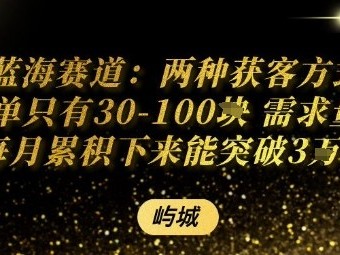 蓝海赛道：两种获客方式每单只有30-100米 需求量大每月累积下来能突破3W