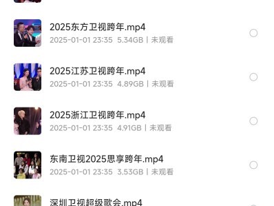 2024-2025各地跨年晚会大合集