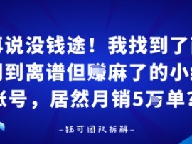 谁再说没钱途！我找到了两个冷门到离谱但賺麻了的小红书账号，居然月销5W单？