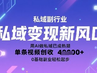 私域变现新风口：用AI做私域已成热潮，单条视频创收1k+，0基础副业轻松起步