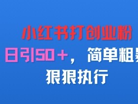 小红书打创业粉，日引50+，简单粗暴，狠狠执行