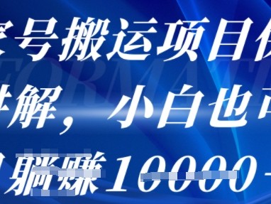 百家号搬运项目保姆级讲解,操作简单,小白也可以月入1w+